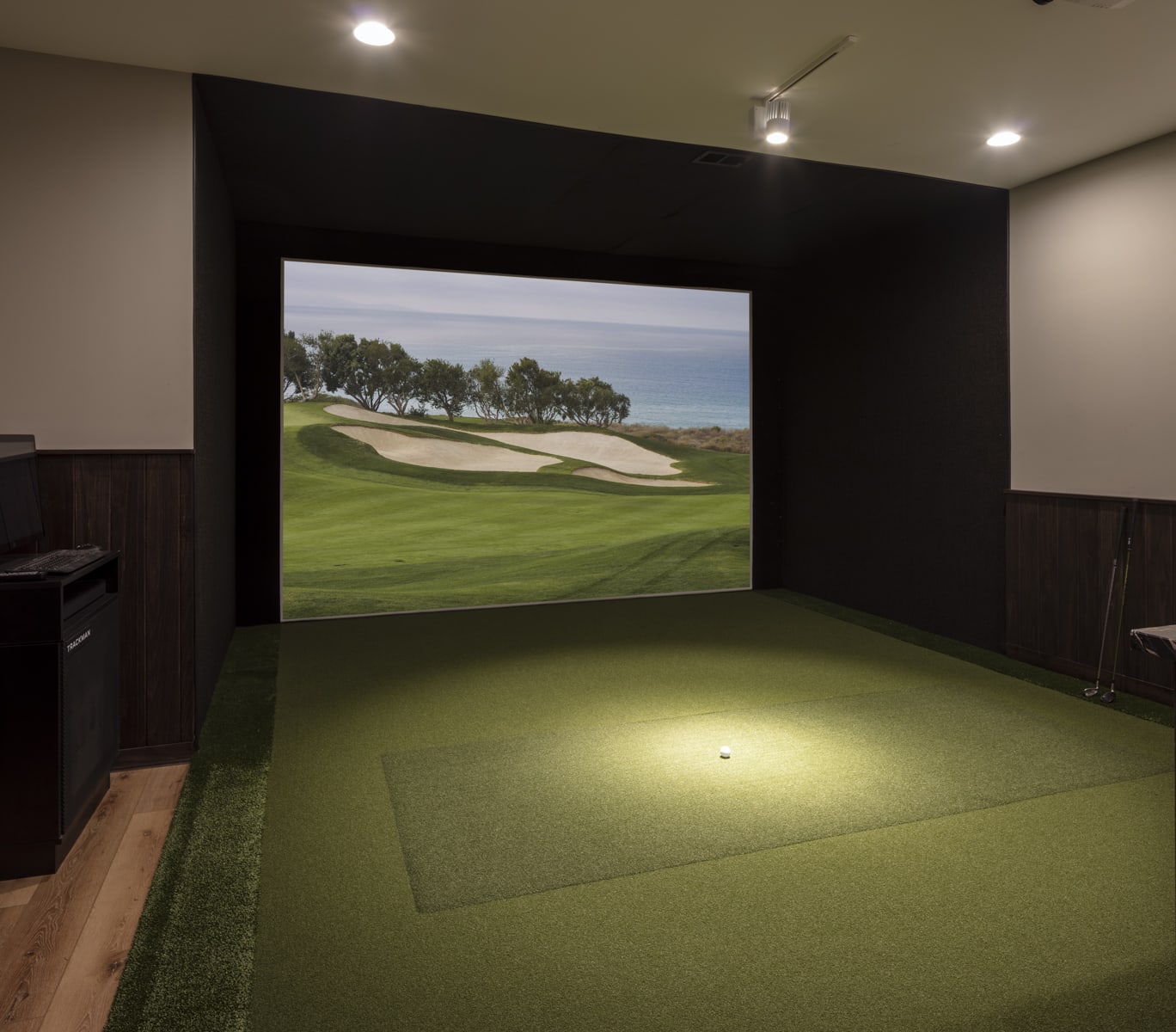 golf simulator in basement